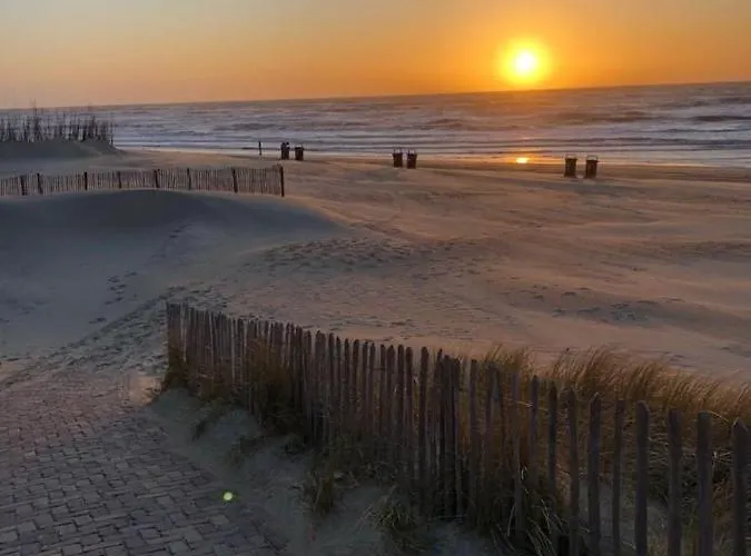 Benny's House 1 赞德沃特